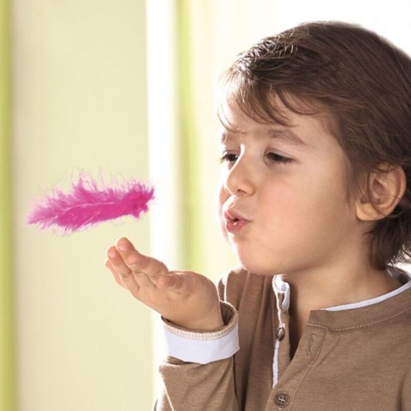 Haba Επιτραπέζιο Τα Μαγικά Φτερά (140-302216) φωτογραφία