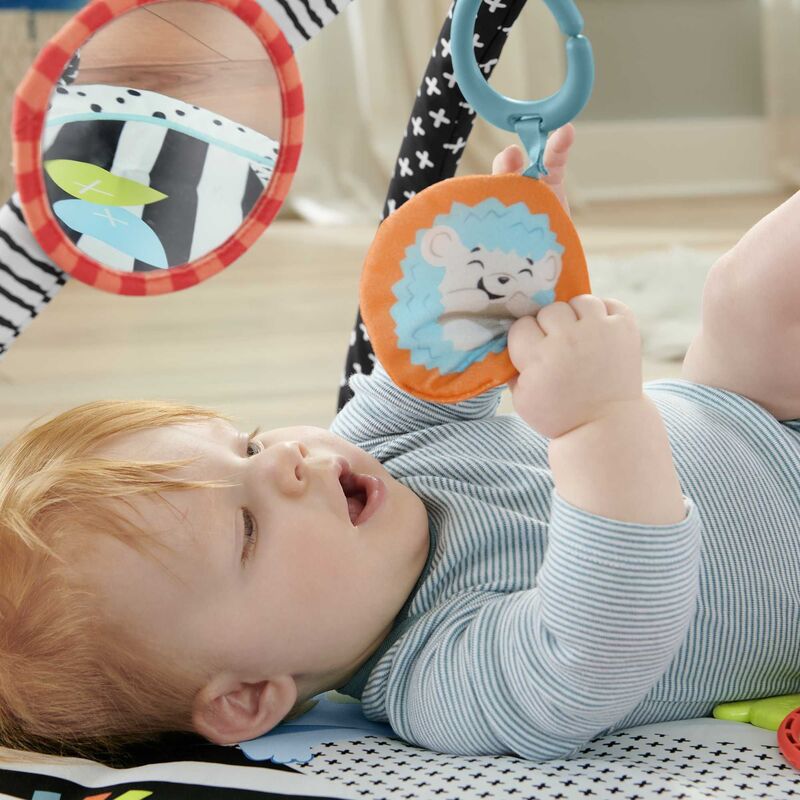Fisher Price Μουσικό Γυμναστήριο 3 Σε 1 (JMN72) φωτογραφία