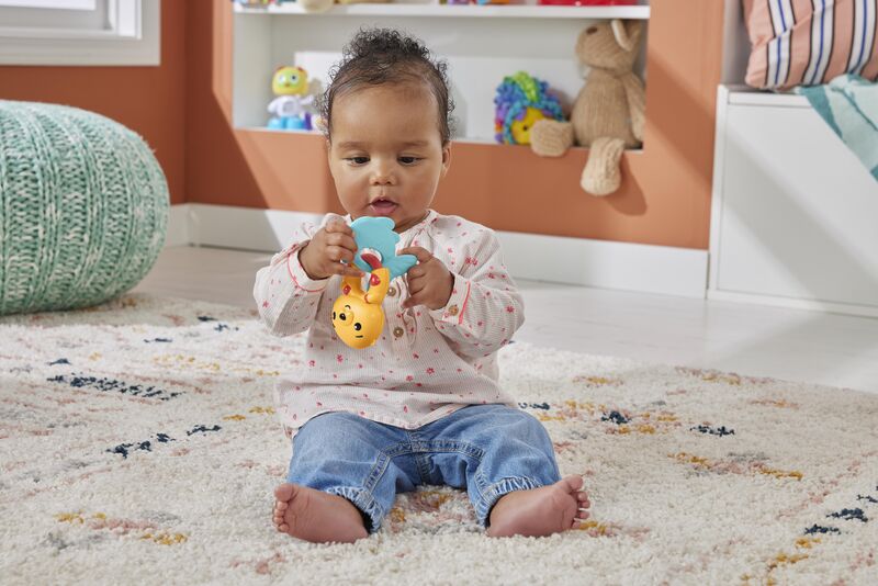 Fisher Price Παιχνίδι Δραστηριοτήτων Ζωάκια-5 Σχέδια (HJW11) φωτογραφία
