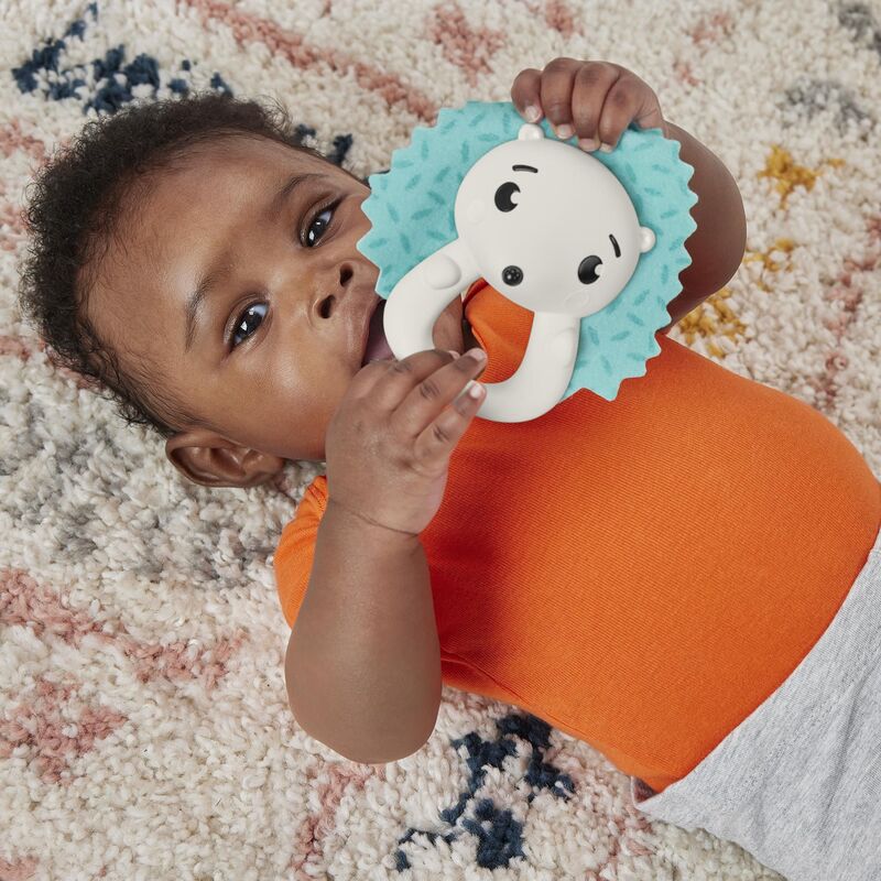 Fisher Price Παιχνίδι Δραστηριοτήτων Ζωάκια-5 Σχέδια (HJW11) φωτογραφία