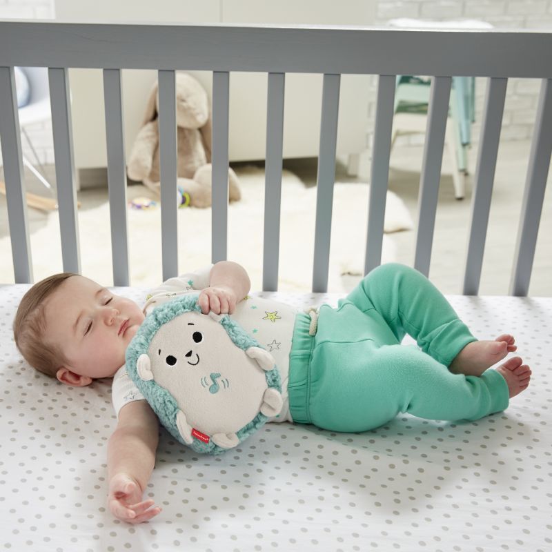 Fisher Price Μαλακό Σκαντζοχοιράκι Με Μουσική Και Δόνηση (FXC58) - φωτογραφία 2