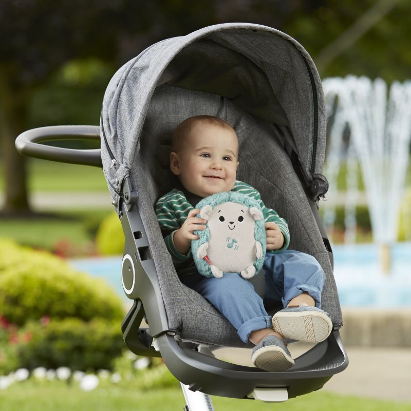 Fisher Price Μαλακό Σκαντζοχοιράκι Με Μουσική Και Δόνηση (FXC58) - φωτογραφία 3
