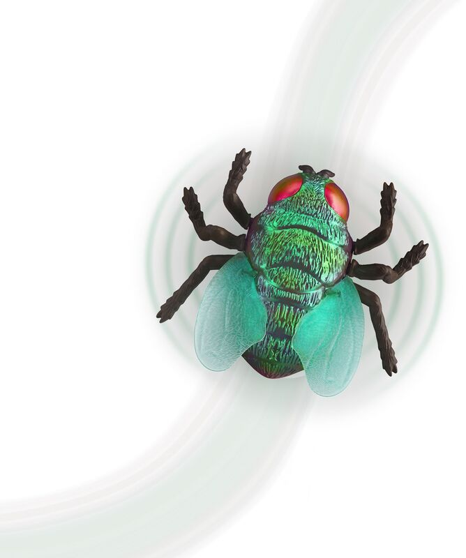 Terra Τηλεκατευθυνόμενο RC Bottle Fly (AN2868Z) φωτογραφία