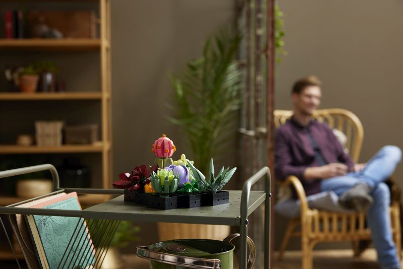 LEGO® Botanicals Succulents (10309) φωτογραφία