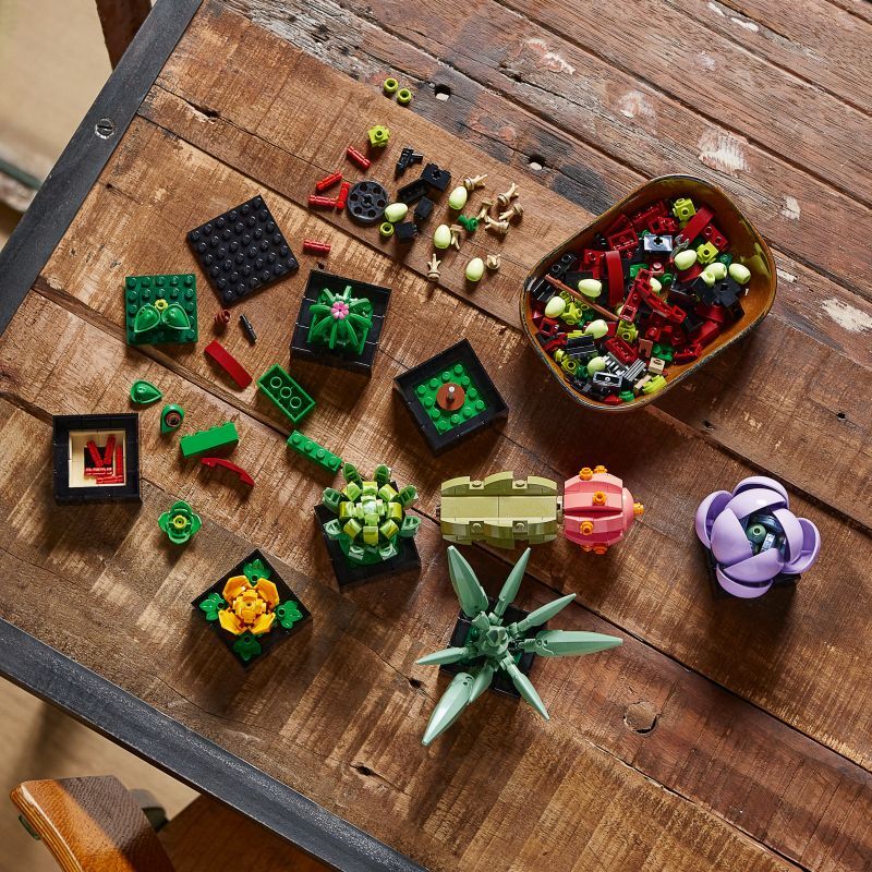 LEGO® Botanicals Succulents (10309) φωτογραφία