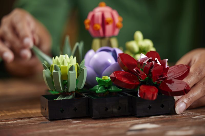 LEGO® Botanicals Succulents (10309) φωτογραφία