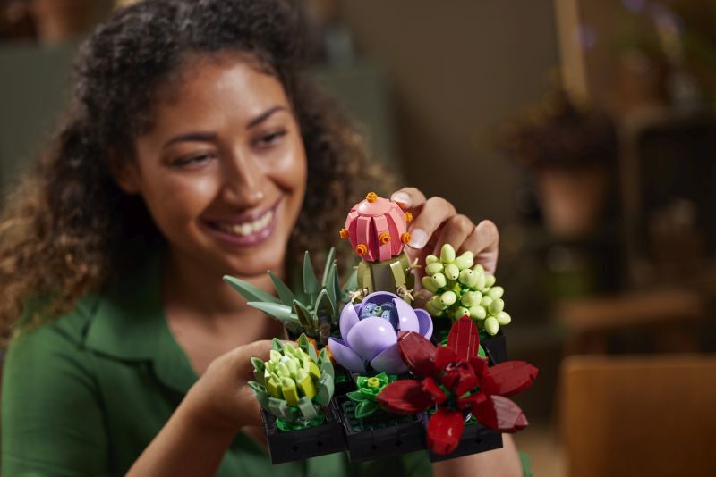 LEGO® Botanicals Succulents (10309) φωτογραφία