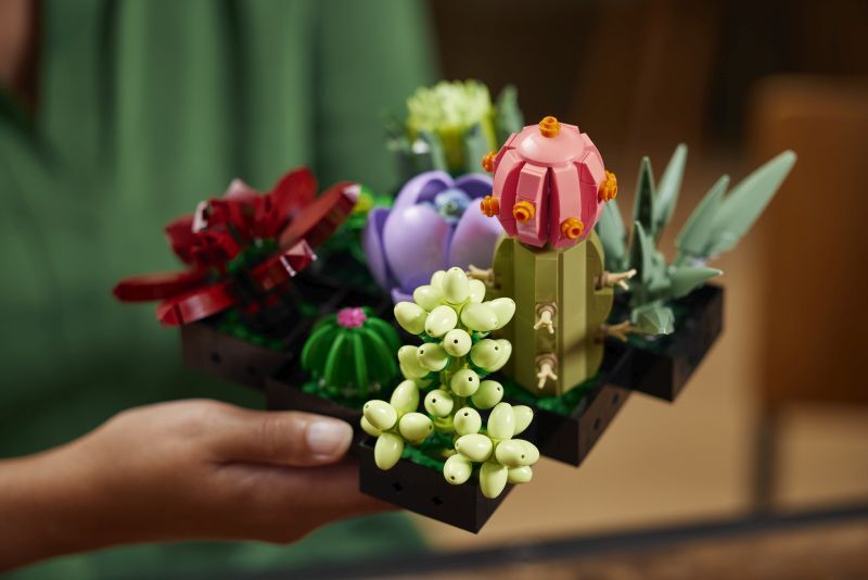 LEGO® Botanicals Succulents (10309) φωτογραφία