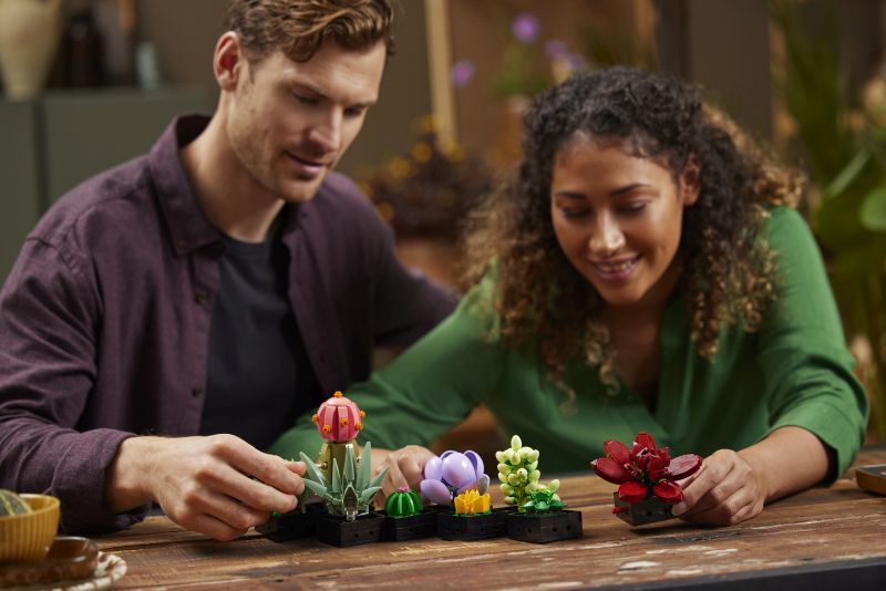 LEGO® Botanicals Succulents (10309) φωτογραφία