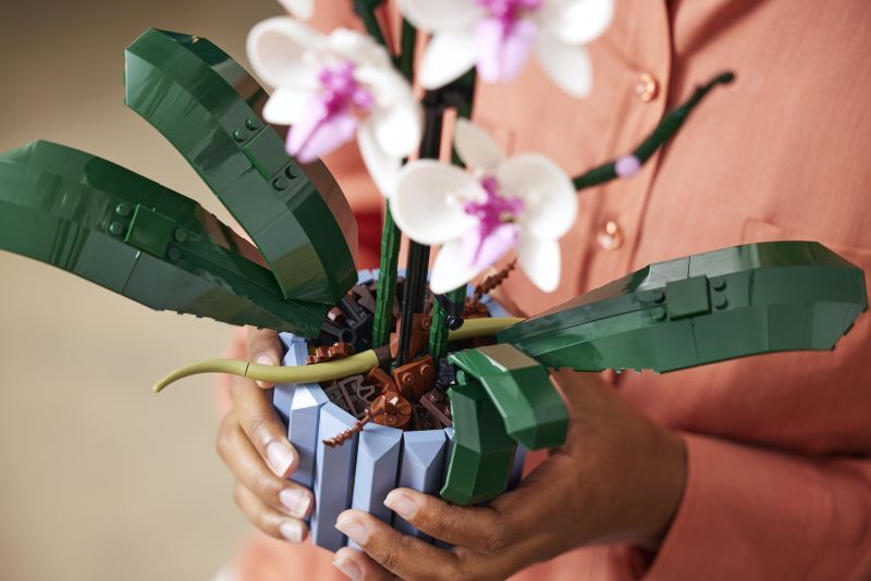 LEGO® Botanicals Orchid (10311) φωτογραφία