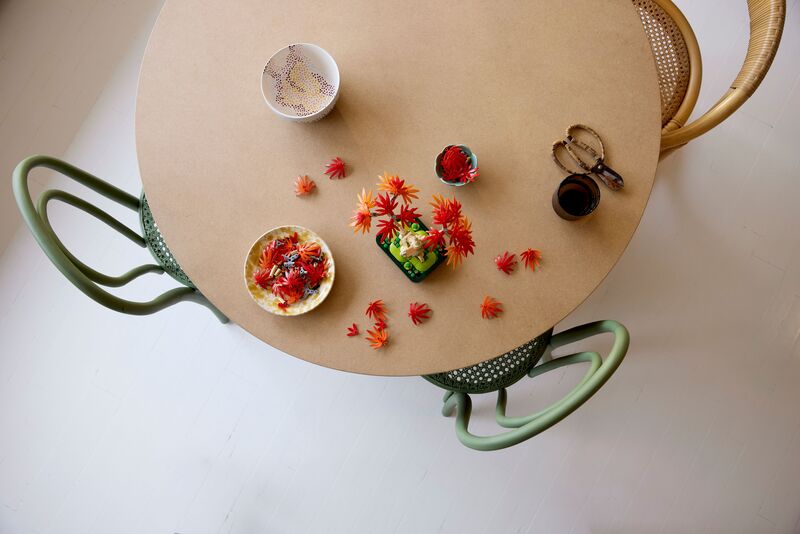 LEGO® Botanicals Japanese Red Maple Bonsai Tree (10348) φωτογραφία