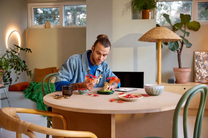 LEGO® Botanicals Japanese Red Maple Bonsai Tree (10348) φωτογραφία