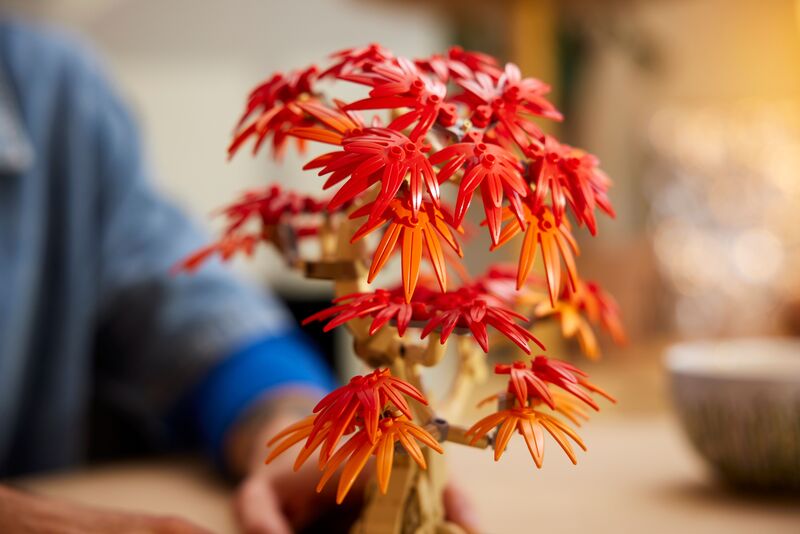 LEGO® Botanicals Japanese Red Maple Bonsai Tree (10348) φωτογραφία