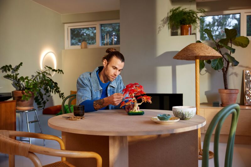 LEGO® Botanicals Japanese Red Maple Bonsai Tree (10348) φωτογραφία