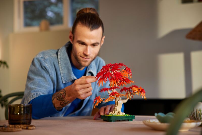 LEGO® Botanicals Japanese Red Maple Bonsai Tree (10348) φωτογραφία