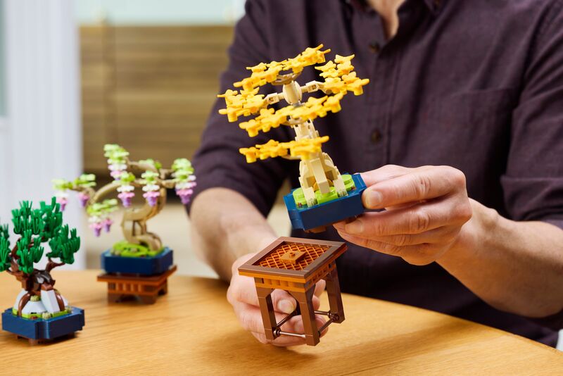 LEGO® Botanicals Mini Bonsai Trees (10373) φωτογραφία