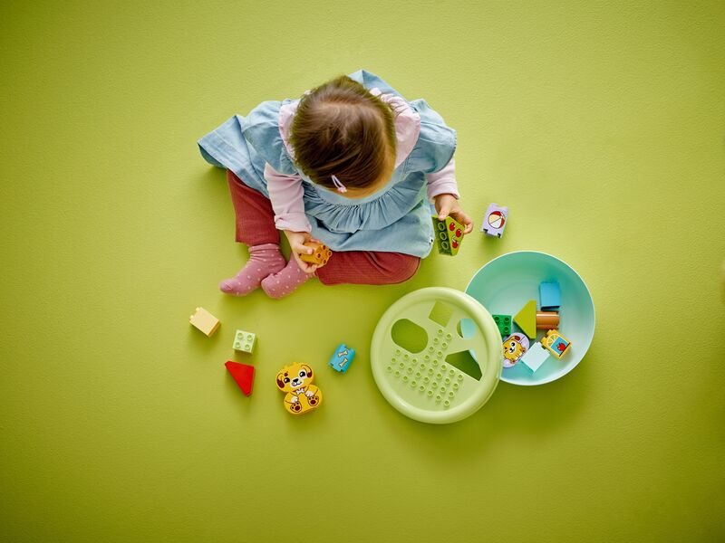 LEGO Duplo Shape Sorter: Puppy House (10441) φωτογραφία