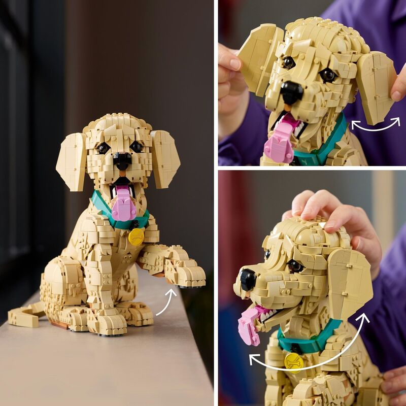 LEGO® Icons Golden Retriever Puppy (11384) - φωτογραφία 5