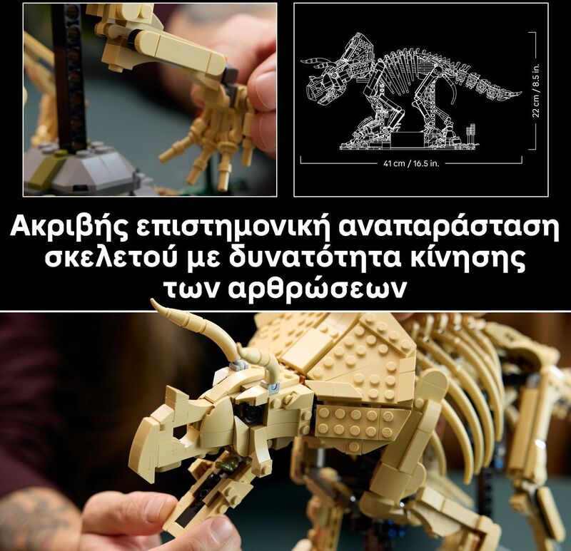 LEGO® Jurassic World Dinosaur Fossils: Triceratops (77985) - φωτογραφία 5