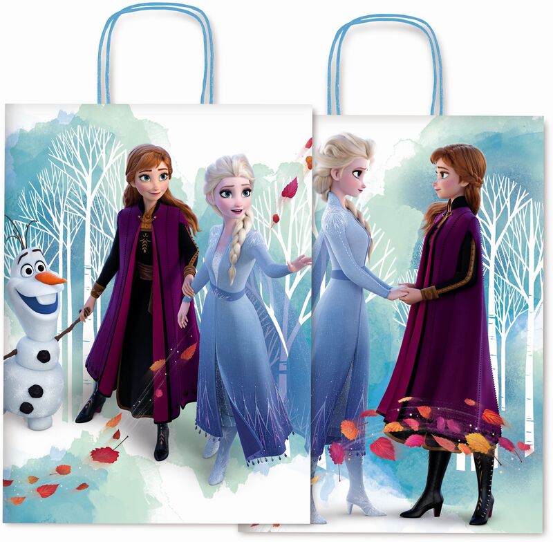 Sadoch Χάρτινη Τσάντα Frozen 16cm (WNA16629D)