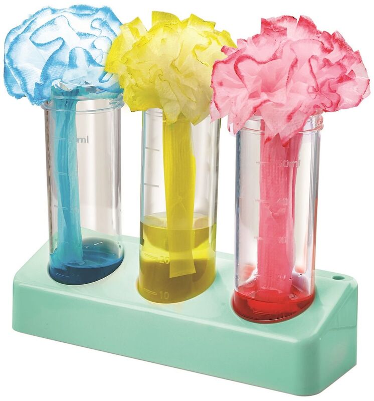 4M Πολύχρωμοι Μονόκεροι (4M0613) φωτογραφία