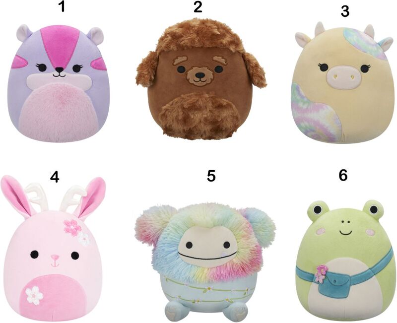 Squishmallows W13 19cm-6 Σχέδια (JWSQ4065-K) - φωτογραφία 2