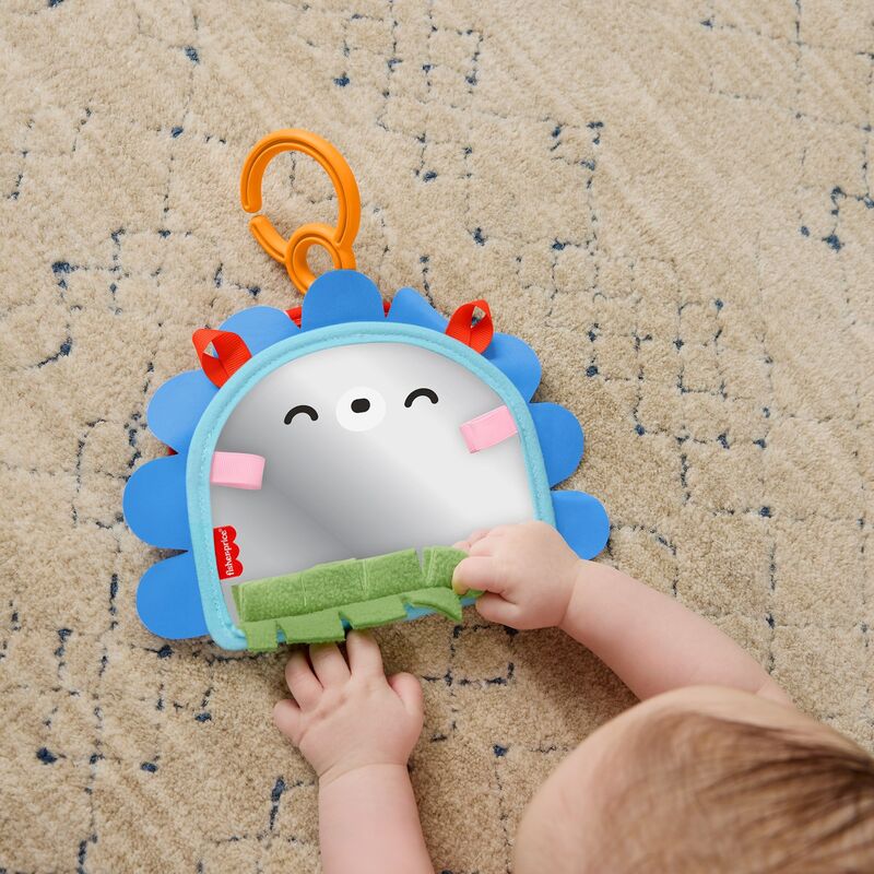 Fisher Price Καθρεφτάκι-Σκαντζοχοιράκι (JHB45) - φωτογραφία 3
