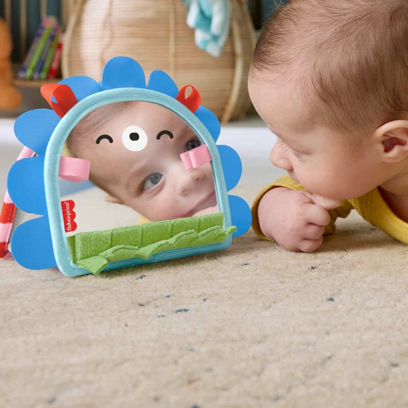 Fisher Price Καθρεφτάκι-Σκαντζοχοιράκι (JHB45) - φωτογραφία 4