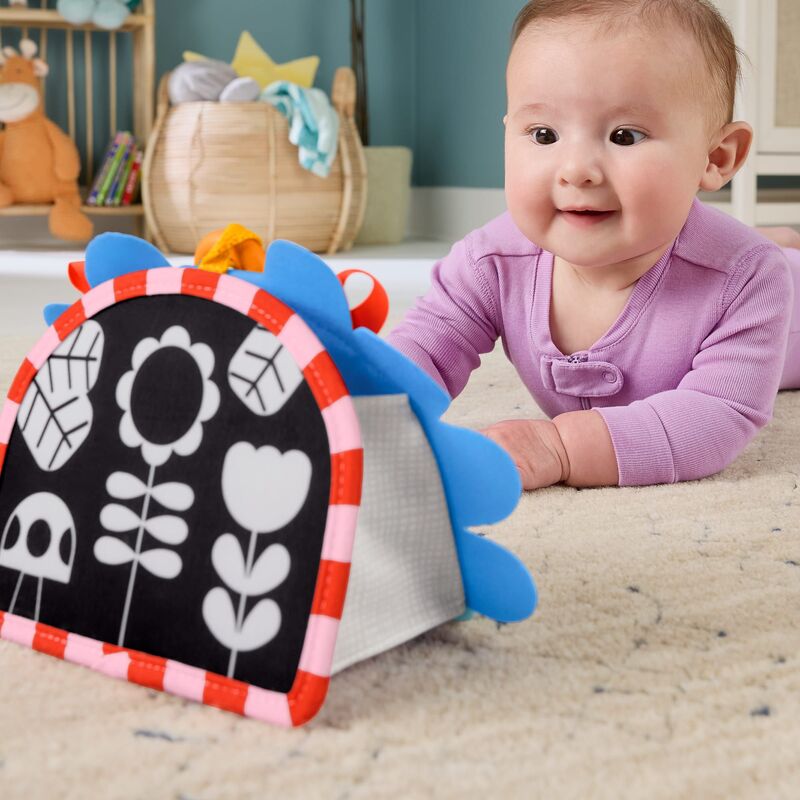 Fisher Price Καθρεφτάκι-Σκαντζοχοιράκι (JHB45) - φωτογραφία 5