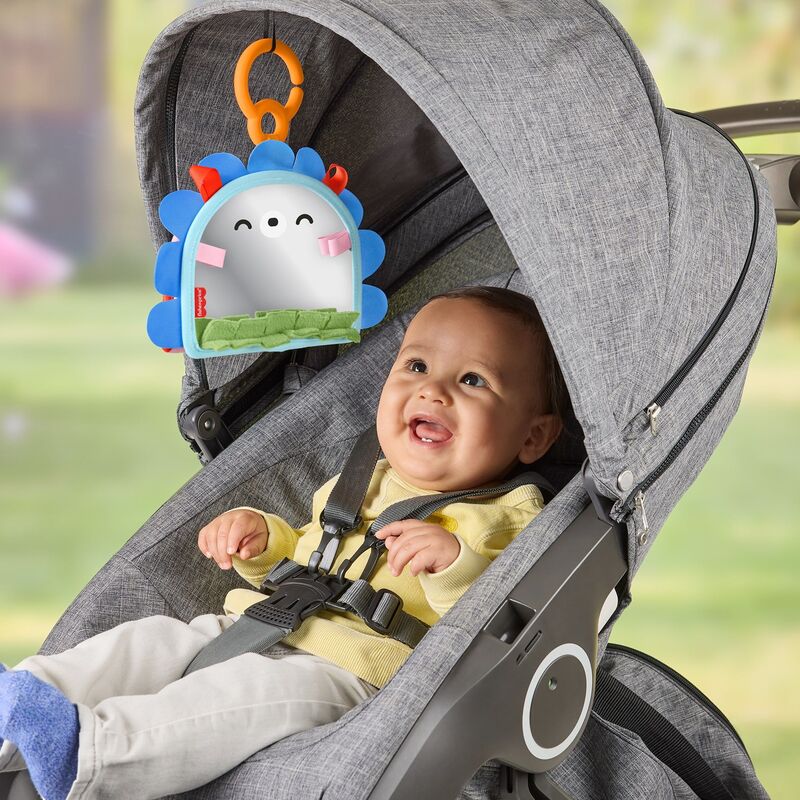 Fisher Price Καθρεφτάκι-Σκαντζοχοιράκι (JHB45) - φωτογραφία 6