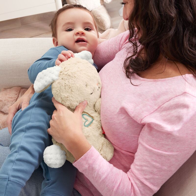 Fisher Price Κουνελάκι Soothe & Settle (HXG97) - φωτογραφία 6