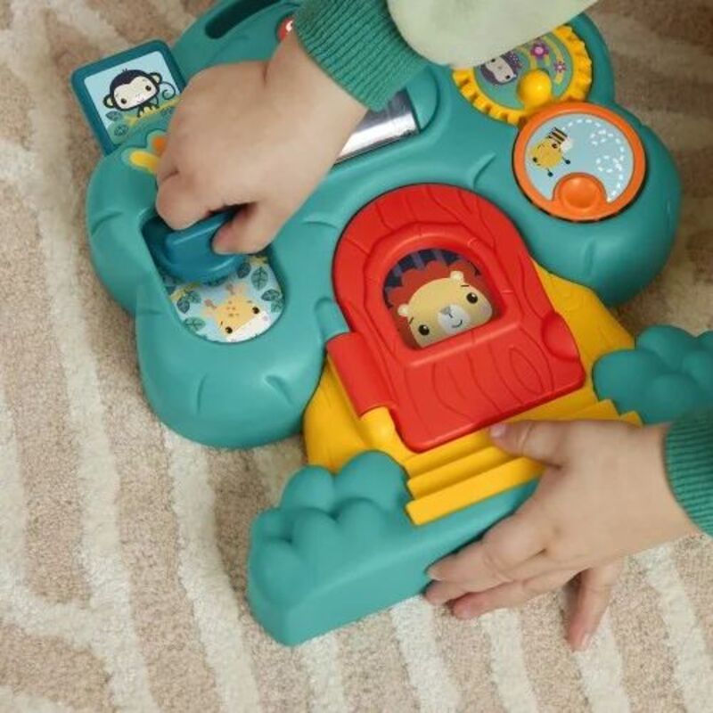 Fisher Price Παιχνίδι Δραστηριοτήτων-2 Σχέδια (HXK32) - φωτογραφία 5