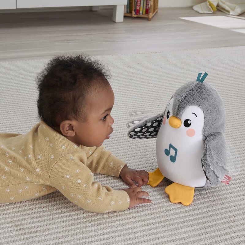 Fisher Price Εκπαιδευτικό Πιγκουινάκι Από Ύφασμα Με Ήχους - HNC10 - φωτογραφία 4