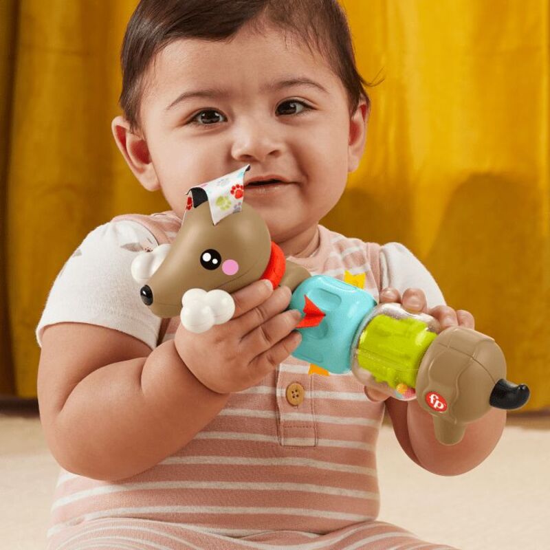 Fisher-Price Pet Pals Σκυλάκι Δραστηριοτήτων (HTW91) - φωτογραφία 2