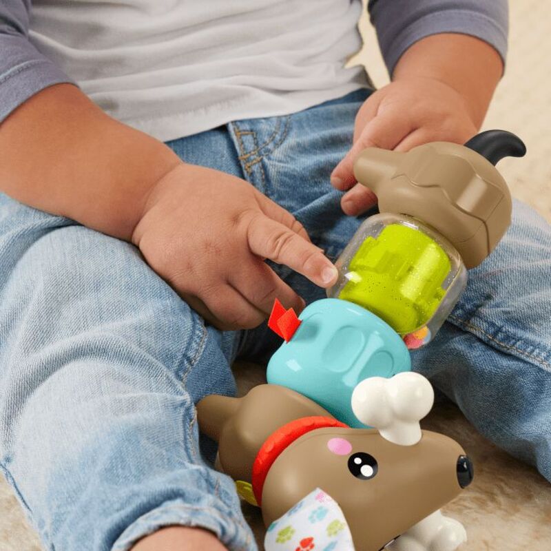 Fisher-Price Pet Pals Σκυλάκι Δραστηριοτήτων (HTW91) - φωτογραφία 3