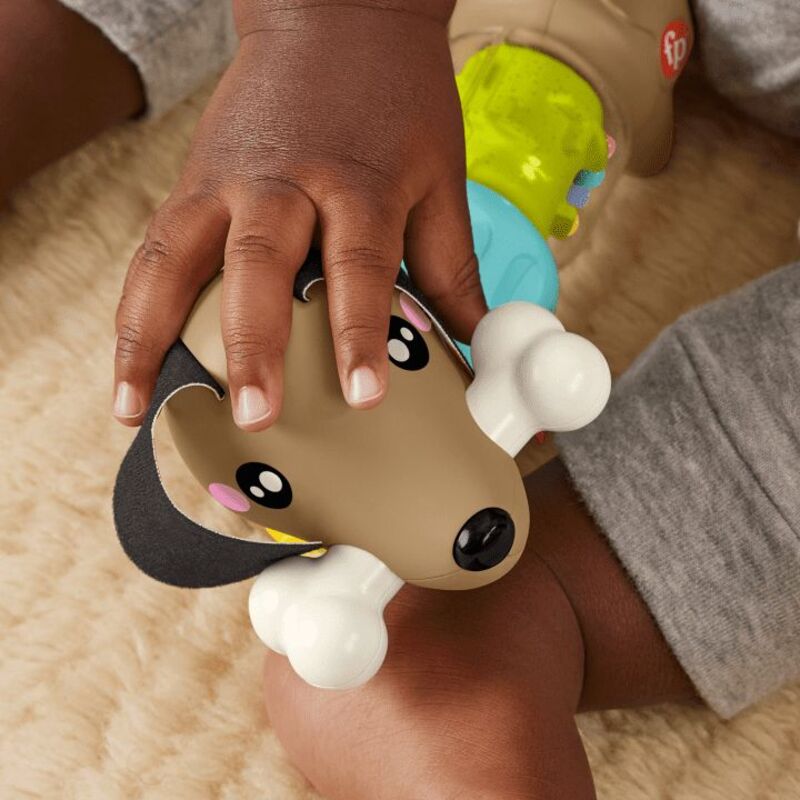 Fisher-Price Pet Pals Σκυλάκι Δραστηριοτήτων (HTW91) - φωτογραφία 4