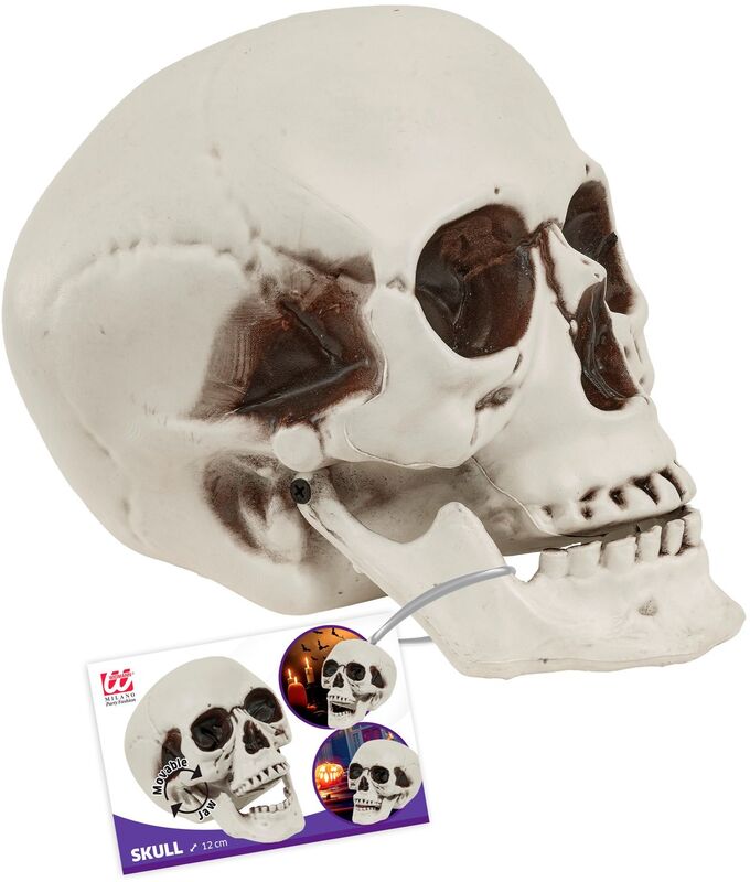 WM Νεκροκεφαλή 12cm (65021) - φωτογραφία 2