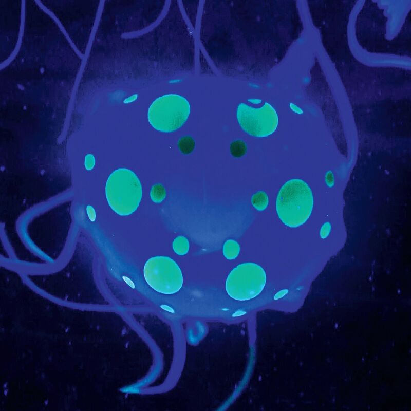 ThreeSixty Jelyfish Aquarium Lamp (1423012561) φωτογραφία