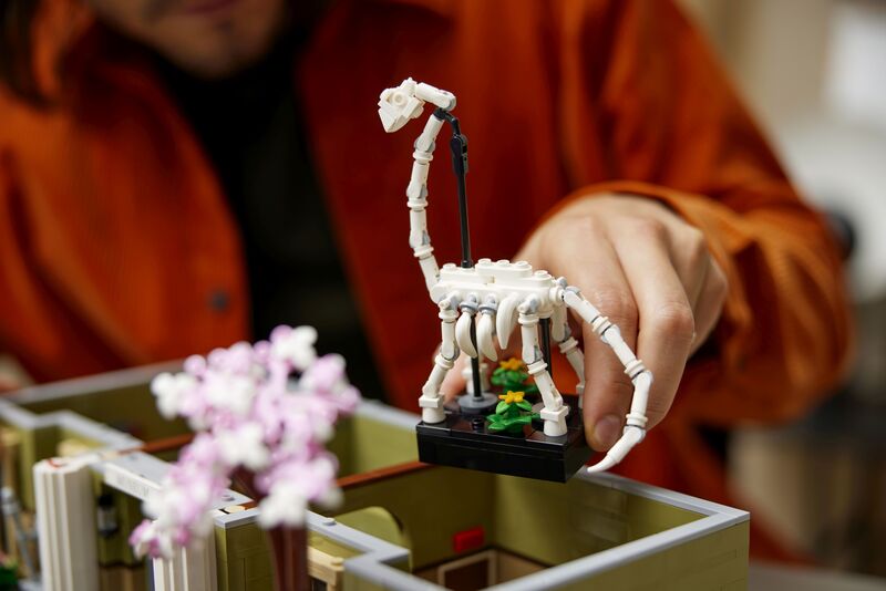LEGO® Icons Natural History Museum (10326) φωτογραφία