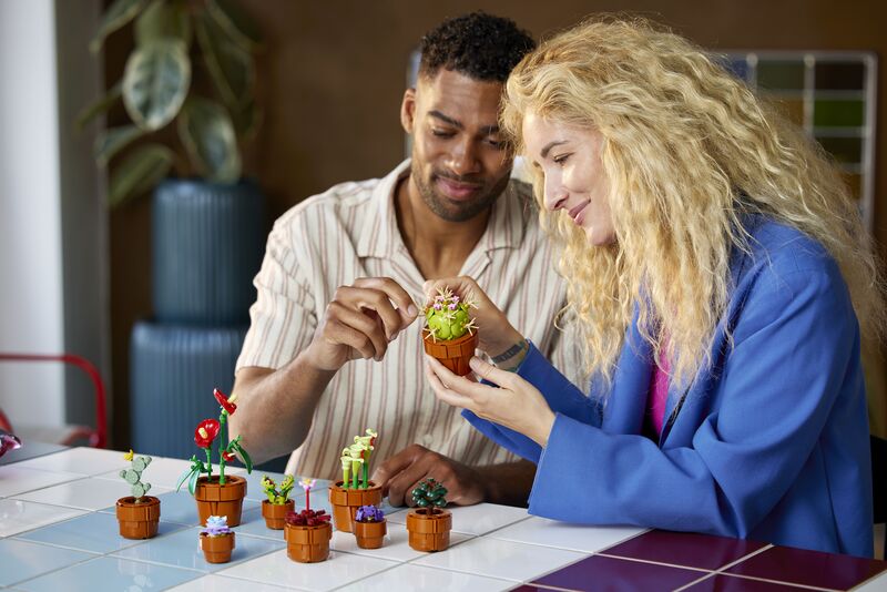 LEGO® Icons Botanicals Tiny Plants (10329) φωτογραφία