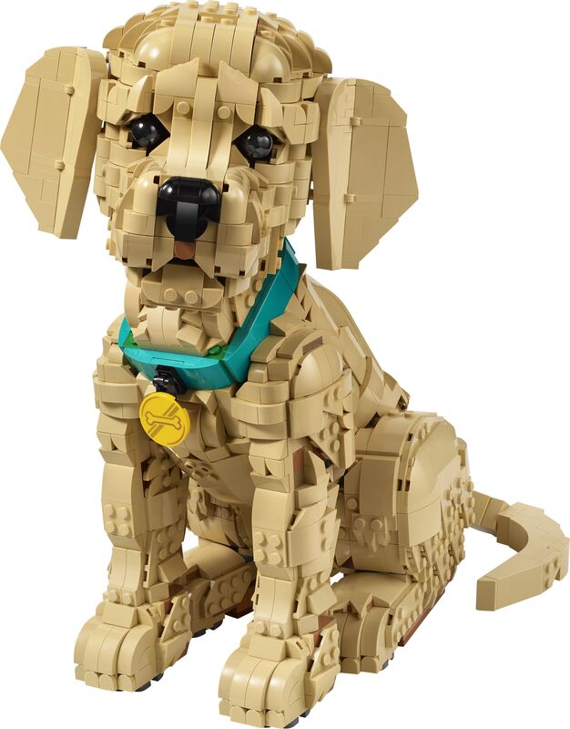 LEGO® Icons Golden Retriever Puppy (11384) - φωτογραφία 2