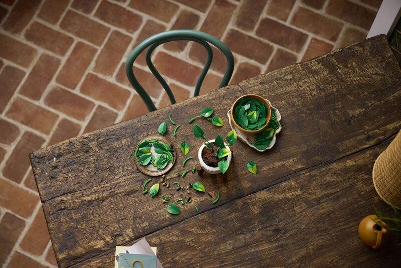 LEGO® Botanicals Hanging Golden Pothos (11512) - φωτογραφία 5