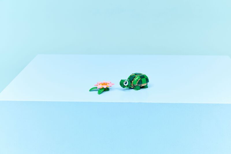 LEGO Creator 3in1 Turtle With A Water Lily Flower (31377) φωτογραφία