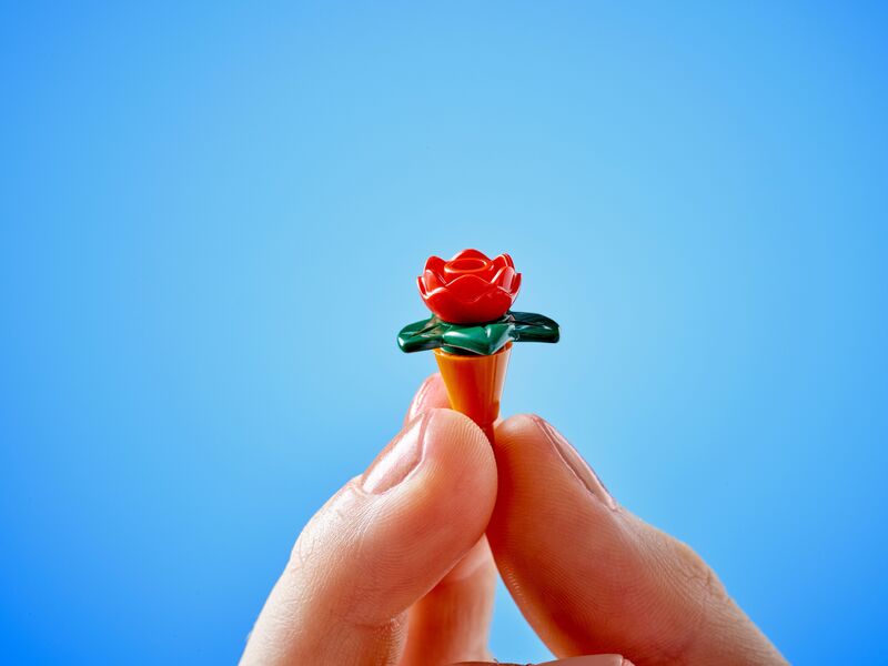 LEGO Friends Plant Cafe & Flower Shop (42671) φωτογραφία