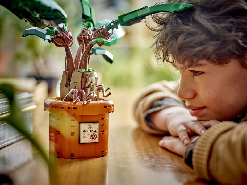 LEGO® Harry Potter Mandrake (76433) φωτογραφία