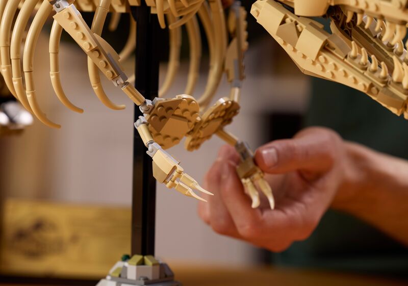 LEGO Jurassic World Dinosaur Fossils: T.Rex (76968) φωτογραφία