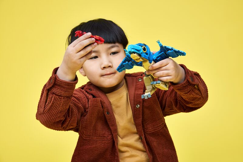 Lego Jurassic World Baby Dinosaur | Pteranodon - (77977) - φωτογραφία 7