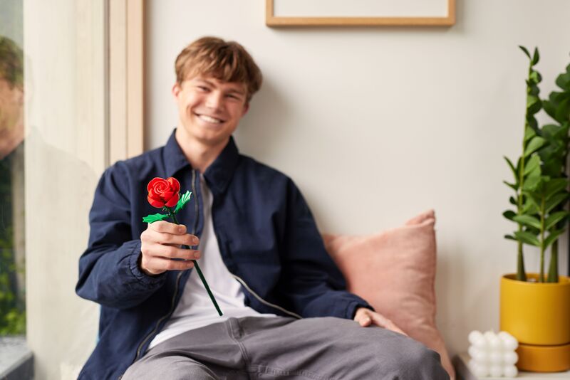 Zuru Max Premium Bricks Rose 247Τμχ Series 1-2 Σχέδια-1Τμχ (83183) φωτογραφία