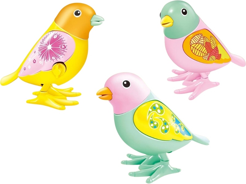 BW Wind Up Παπαγαλάκι-3 Σχέδια (A780-23)