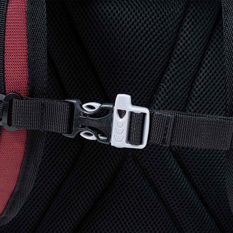 Polo 25 Σακίδιο Genius (062-3300) φωτογραφία